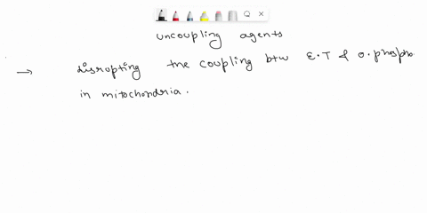 uncoupling-proteins-in-plants-background-in-mammals-body-temperature-can-be-regulated-by-uncoupling-proteins-which-act-by-uncoupling-electron-transport-and-oxidative-phosphorylation-two-such-12642