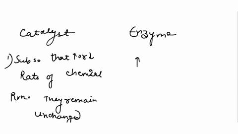 what-is-the-difference-between-a-catalyst-and-an-enzyme-3-18923