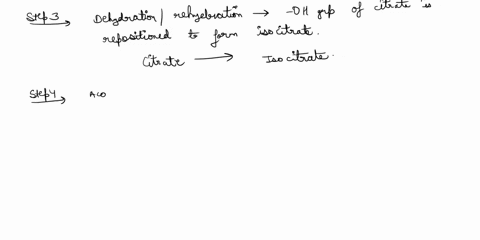 help-please-include-any-necessary-explanations-so-i-can-understand-the-equations-thank-you-in-advance-3-using-the-citric-acid-cycle-scheme-on-the-last-page-of-this-assignment-see-attached-im-79285