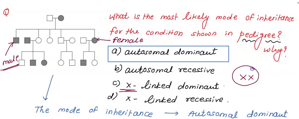 SOLVED:Biol3120 Problem set 1 What is the most likely mode of ...