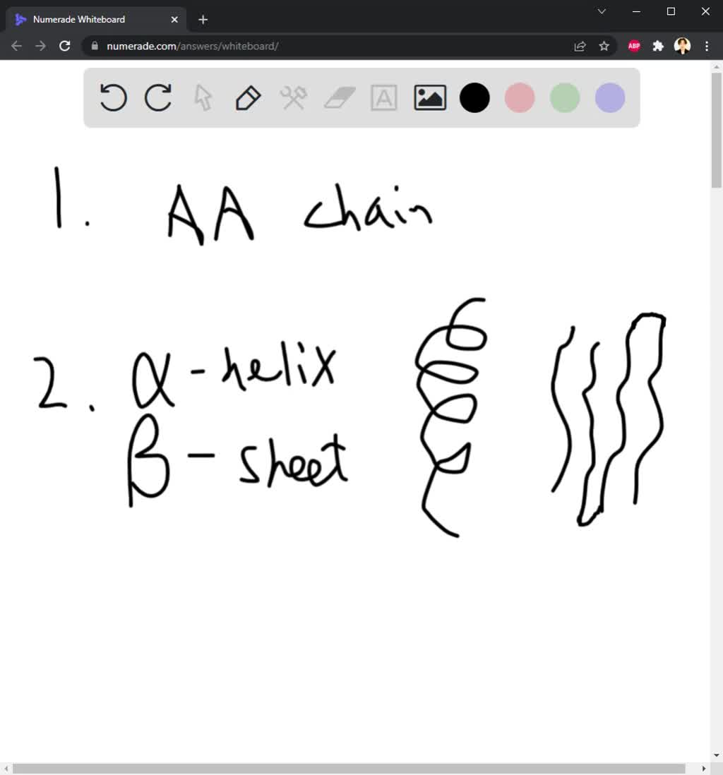 SOLVED Explain how the side chains are important to the primary