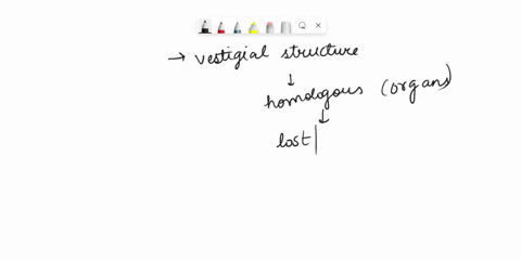 vestigial-structure-and-atavism-how-are-they-alike-how-they-different-76303