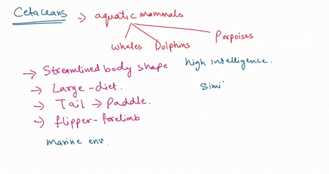 find-tiktaalik-please-complete-all-questions-1-3-1-the-cetaceans-whales-dolphins-and-porpoises-are-marine-mammal-descendants-of-land-mammals-if-you-are-studying-a-fossil-that-is-a-possible-e-84921