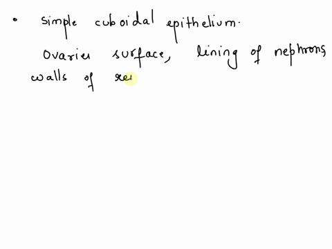 dtransitional-8-simple-cuboidal-epithelium-can-be-found-aat-the-surface-of-the-skin-dlining-the-ovaries-blining-the-trachea-e-lining-the-air-sacs-of-the-lungs-c-lining-blood-vessels-83472