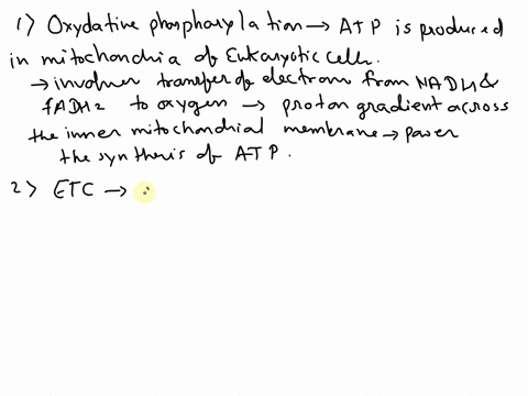 1-what-is-oxidative-phosphorylation-2-thoroughly-describe-the-electron-transport-chain-3-how-is-atp-made-during-oxidative-phosphorylation-29834
