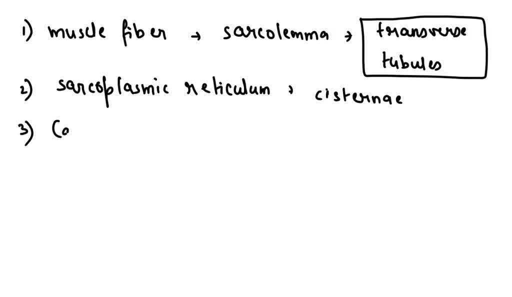 SOLVED Complete the sentences describing the steps that occur during