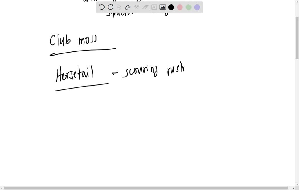 SOLVED Please carefully explain the difference between the strobili