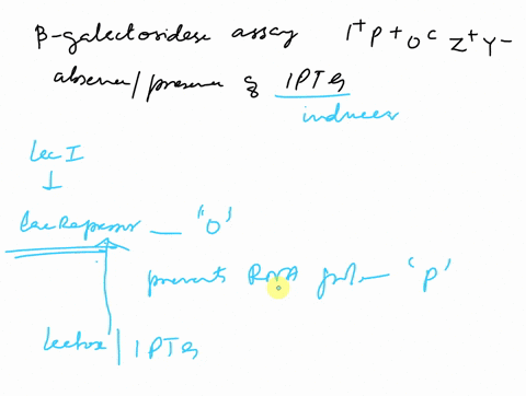 suppose-you-performed-b-galactosidase-assay-on-e-coli-with-a-pocz-y-operon-what-results-would-you-expect-in-the-absence-and-presence-of-iptg-in-4he-absenu-06-ipt-6-the-perh-eai-woh-bae-ex-pl-66308