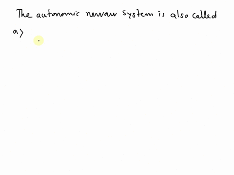 28-the-autonomic-nervous-system-is-also-called-the-multiple-choice-visceral-sensory-division-central-nervous-system-somatic-sensory-division-visceral-motor-division-33366