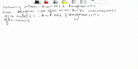 a-cat-has-38-chromosomes-in-somatic-cells-answer-the-following-questions-with-numbers-not-words-following-mitosis-there-are-answer-daughter-cells-each-daughter-cell-after-mitosis-has-answer-84754