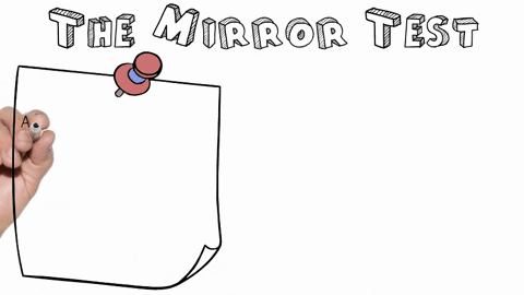 an-18-month-old-typically-recognizes-herself-in-a-mirror-this-self-awareness-contributes-to-a-self-a-48494