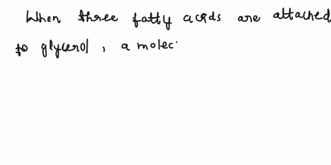 what-is-formed-when-three-fatty-acids-are-attached-to-glycerol-28315