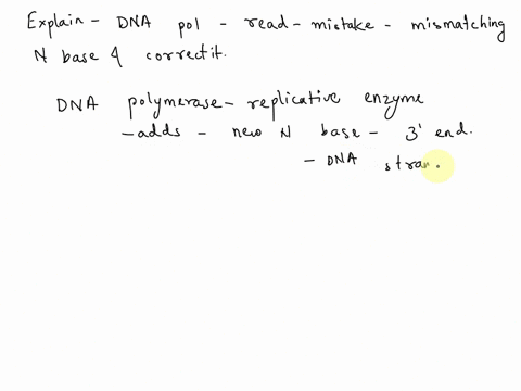 the-primary-dna-replication-enzyme-dna-polymerase-is-highly-specific-and-works-very-carefully-to-ensure-it-does-not-make-any-mistakes-it-also-has-proofreading-ability-where-it-scans-back-and-56767