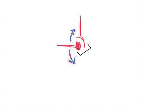 skin-bone-and-joints-pivot-joint-condyloid-joint-ball-and-socket-joint-hinge-joint-a-saddle-joint-plane-joint