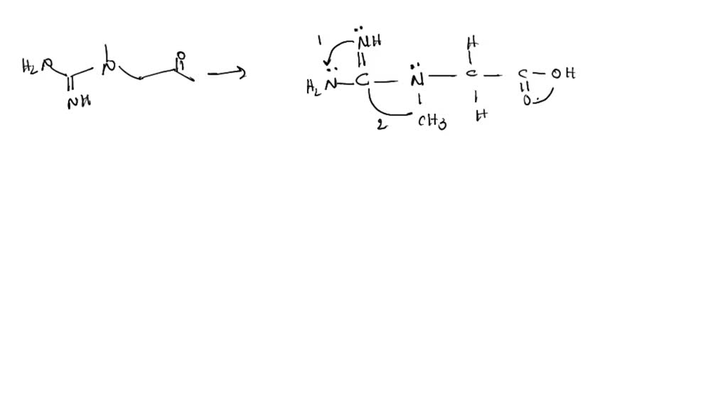 SOLVED Creatine has the structure shown here. Estimate the values of