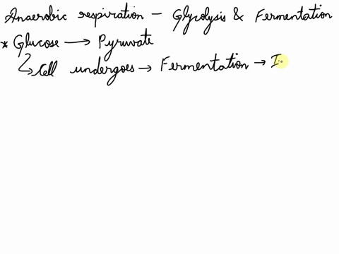 how-much-atp-would-cell-produce-when-using-anaerobic-respiration-with-nitrate-of-a-7-mm-glucose-solution-assume-28-atps-are-produced-per-nadh-and-19-atp-per-fadh2-in-your-answer-total-up-all-99253