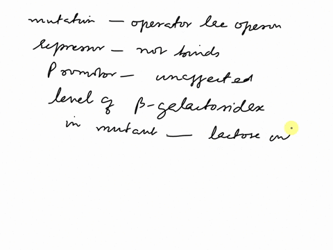 suppose-a-mutation-occurs-in-the-operator-region-of-the-e-coli-lac-operon-such-that-the-repressor-protein-can-no-longer-bind-but-the-promoter-is-unaffected-what-do-you-predict-will-occur-to-43912