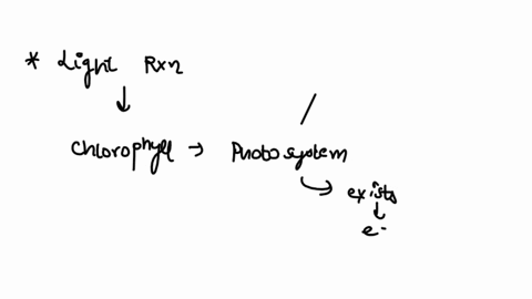 what-energy-molecule-is-produced-during-the-light-reactions-and-helps-to-power-the-calvin-cycle-92883