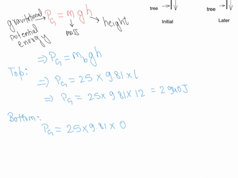 a-25-kg-bear-slides-from-rest-12-m-down-a-lodgepole-pine-tree-moving-with-a-speed-of-56-mathrmm-math-47794