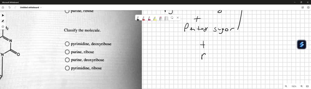 SOLVED: Texts: Subject: Genetics Sort these nucleotide building blocks