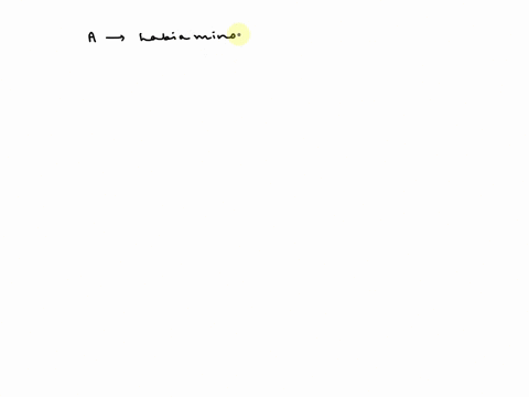 dannry-the-structure-indicated-by-letter-a-on-the-image-below-entify-the-reeion-of-the-organ-indicated-by-letter-bon-the-image-below-b-a-25194
