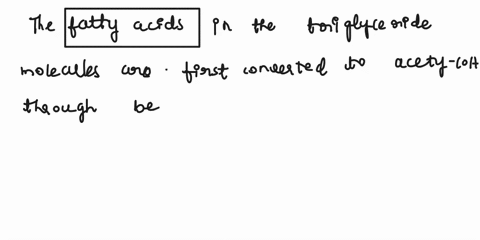 you-have-8-glucose-molecules-and-3-triglyceride-molecules-comprised-of-stearic-acid-there-is-plenty-of-oxygen-so-all-of-your-substrate-will-undergo-oxidative-phosphorylation-start-with-your-00546