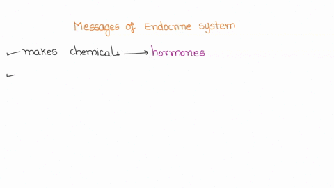 how-are-the-messages-of-the-endocrine-system-moved-around-the-body-49669
