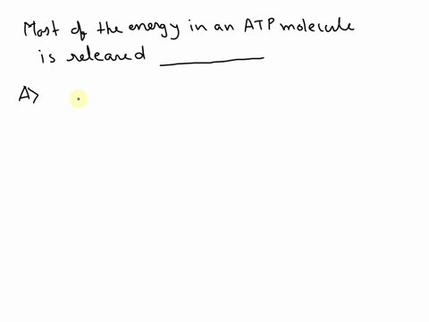 most-of-the-energy-in-an-atp-molecule-is-released-a-during-cellular-respiration-b-when-the-terminal-26818