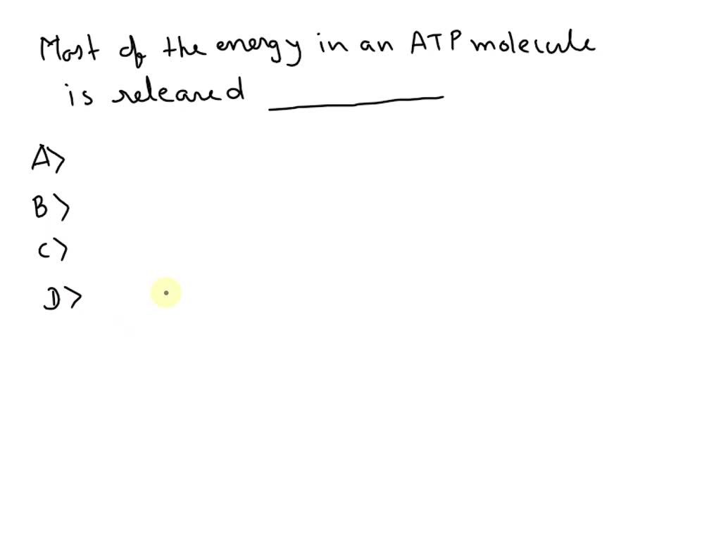 SOLVED Most of the energy in an ATP molecule is released A. during