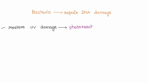 name-and-briefly-describe-one-method-by-which-bacteria-can-repair-dna-damage-caused-by-uv-irradiation-52561