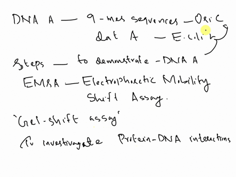 in-class-we-learned-that-dnaa-binds-to-the-9-mer-sequences-located-in-oric-and-also-binds-to-the-data-region-of-the-e-coli-genome-describe-the-steps-that-you-would-perform-to-demonstrate-tha-04913