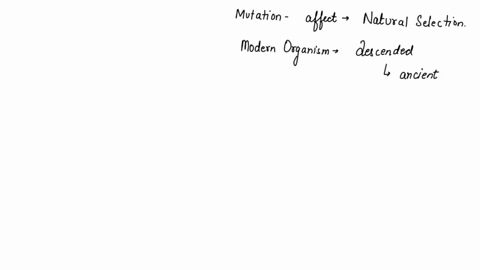 how-do-mutations-affect-natural-selection-a-they-slow-down-the-process-b-they-prevent-organisms-from-evolving-c-reproduce-they-affect-how-likely-an-organism-is-to-survive-and-reproduce-d-the-98488