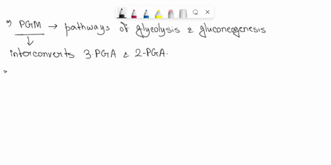 11-which-amino-acids-residue-plays-a-role-in-the-phosphoglycerate-mutase-reaction-in-glycolysis-for-muscle-and-yeast-a-leucine-b-lysine-c-alanine-d-histidine-12-which-of-the-following-mutase-34425