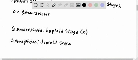 explain-the-alternation-of-generation-in-plants