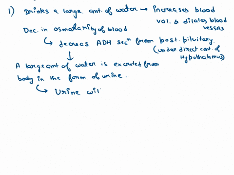 explain-the-effect-on-the-nephron-urine-and-hormone-levels-of-drinking-36oz-of-water-salt-water-and-beer-15555