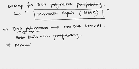 which-type-of-repair-is-a-backup-for-the-dna-polymerase-proofreading-function-80892