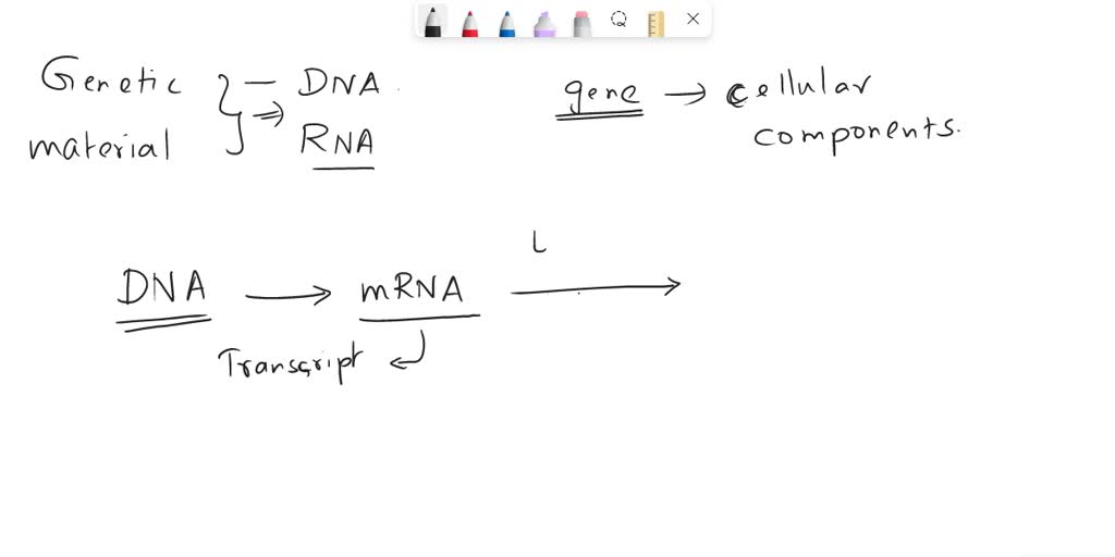 SOLVED: Which of the following options best depicts the flow of ...