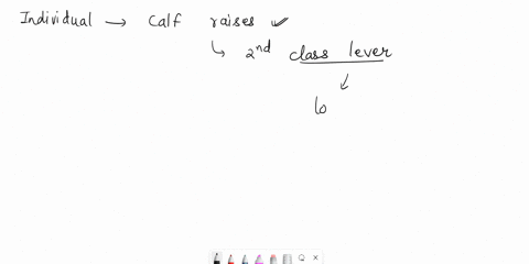 1-an-individual-performing-calf-raises-rising-onto-the-balls-of-their-feet-and-then-lowering-their-heels-is-an-example-of-what-class-lever-1st-class-2nd-class-3rd-class-2-an-individual-perfo-08712