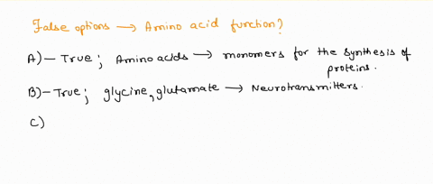 what-is-not-a-function-of-amino-acids-a-building-blocks-of-proteins-b-neurotransmitters-c-precursors-of-nucleic-acids-d-building-blocks-of-lipids-e-precursors-of-hormones-66514