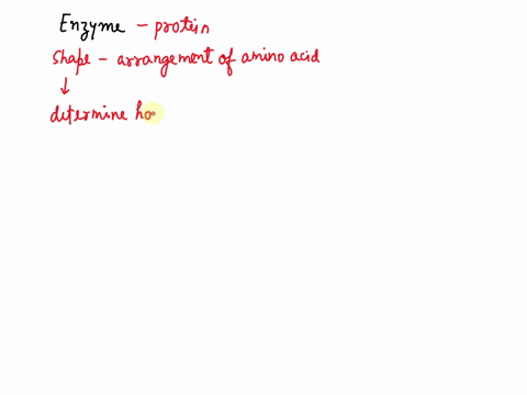 given-the-large-number-of-proteins-in-the-body-explain-why-the-shape-of-an-enzyme-is-important-to-its-function-78192