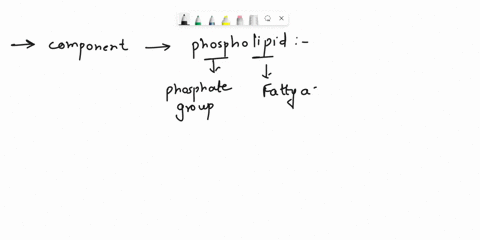 which-is-a-component-of-a-phospholipid-1-carbon-ring-2hydrophilic-head-3-long-chain-alcohol-4amino-acid-36313