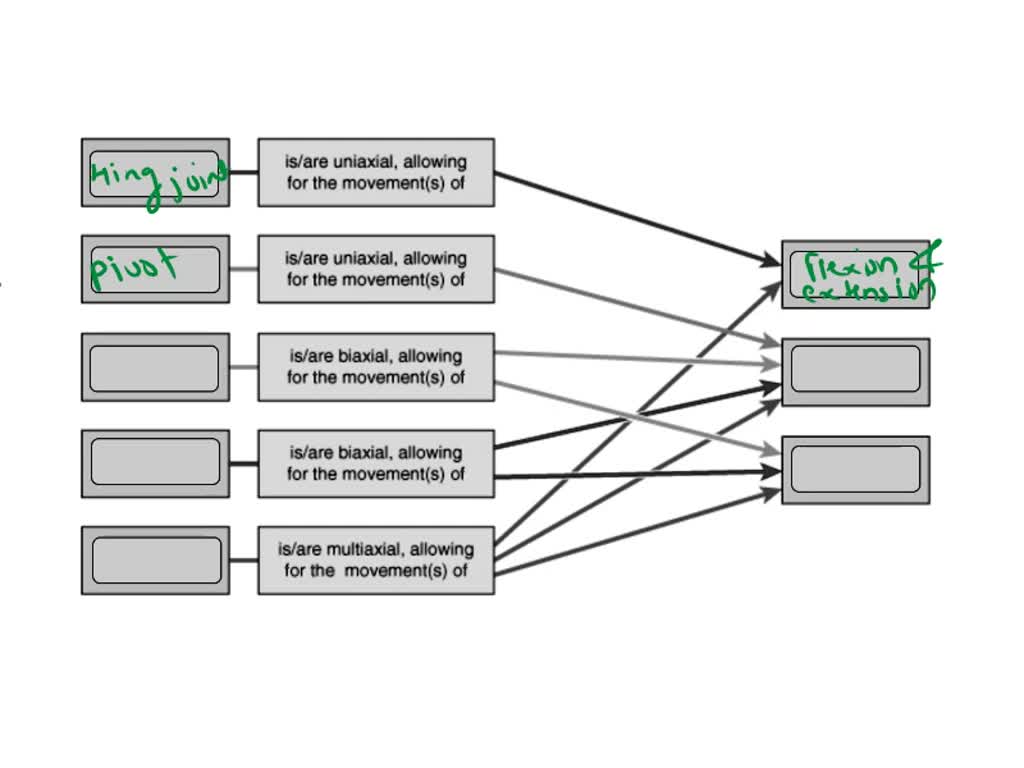 SOLVED Complete the Concept Map to name and describe the common body
