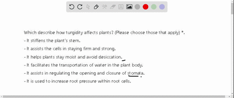which-describe-how-turgidity-affects-plants-please-choose-those-that-apply-it-stiffens-the-plants-stem-it-assists-the-cells-in-staying-firm-and-strong-it-helps-plants-stay-moist-and-avoid-de-33037