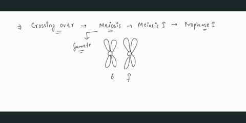 crossing-over-mixes-up-__________-a-chromosomes-c-zygotes-b-alleles-d-gametes-49947