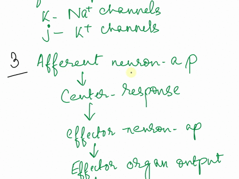 arrange-the-following-tenns-to-describe-the-sequence-of-events-that-happens-after-neurotransmitter-binds-t0-receptor-on-postsynaptic-neuron-phrases-may-be-used-more-than-once-action-potentia-40981