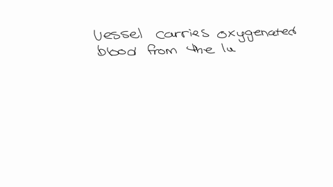 3-which-of-the-following-vessels-carries-oxygenated-blood-from-the-lungs-to-the-heart-a-pulmonary-veins-b-pulmonary-arteries-c-aorta-d-superior-vena-cava-e-inferior-vena-cava