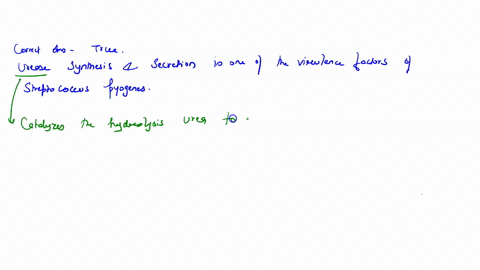 question-11-1-pts-urease-synthesis-and-secretion-is-one-of-the-virulence-factors-of-streptococcus-pyogenes-true-false-77015