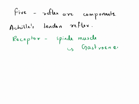 what-are-the-five-reflex-arc-components-for-the-achilles-tendon-reflex-receptor-the-type-of-the-receptor-the-location-the-sensory-neuron-the-control-center-the-motor-neuron-the-effector-82914