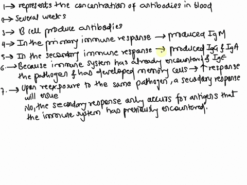 the-following-graph-represents-a-typical-primary-a-and-secondary-b-exposure-to-a-pathogen-and-the-immune-response-represented-by-a-and-b-b-2-a-0-b-time-weeks-what-does-the-y-axis-antibody-ti-06184
