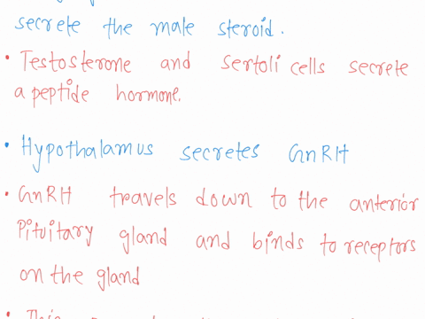 the-hypothalamic-pituitary-gonadal-axis-for-both-males-and-females-select-one_-involves-positive-feedback-control-of-spermatogenesis-b-involves-fsh-and-lh-release-from-the-anterior-pituitary-16132
